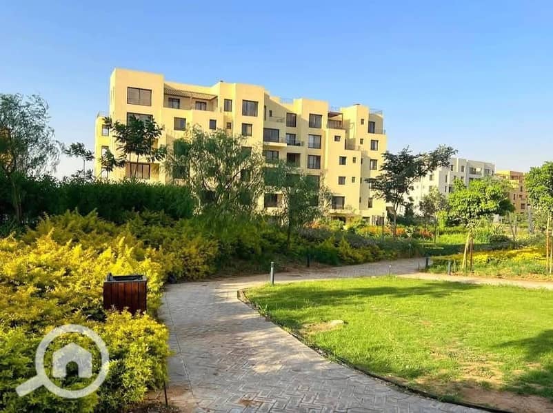 7 499878787_2594098277463306_4890975950724334072_n. jpg