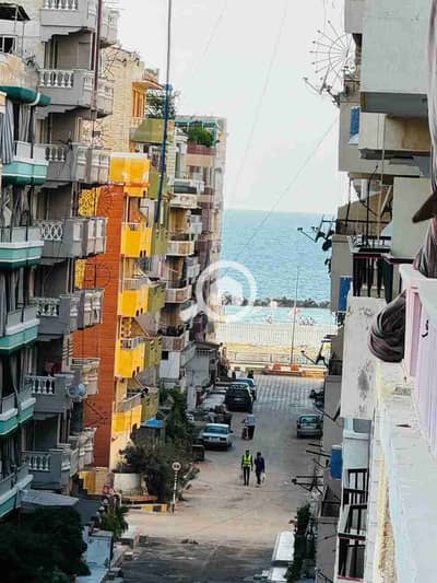 شقة 2 غرفة نوم للبيع في النخيل، الإسكندرية - 1000491572. jpg