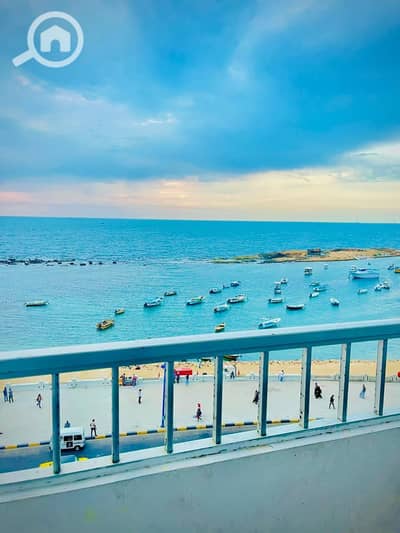 2 Bedroom Flat for Rent in Miami, Alexandria - WhatsApp Image 2026-02-02 at 14.27. 53. jpeg