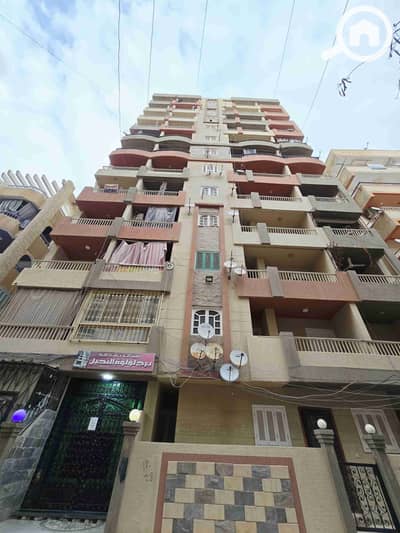شقة 3 غرف نوم للبيع في النخيل، الإسكندرية - 1000492347. jpg شقة 3 غرف نوم للبيع في النخيل، الإسكندرية - 1000492347. jpg