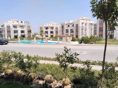 استوديو  للبيع في الساحل الشمالي، مطروح - WhatsApp Image 2026-02-10 at 3.25. 17 PM. jpeg