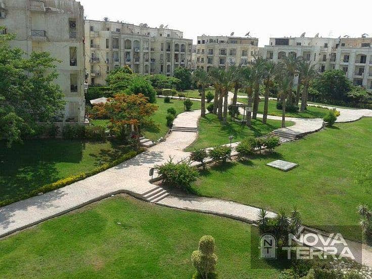 5 Sheikh-zayed-city-1. jpg