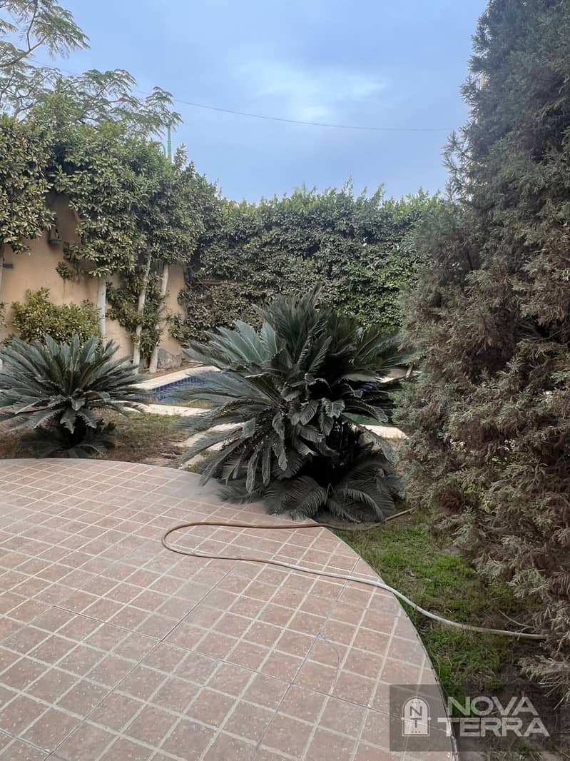 Villa for rent in the Eastern Extensions Villa land area 560 sq m Built-up area 300 sq m - Widok 4