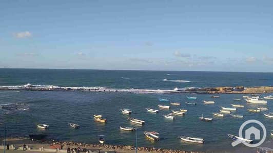 شقة 3 غرف نوم للايجار في ميامي، الإسكندرية - 1000212456. jpg شقة 3 غرف نوم للايجار في ميامي، الإسكندرية - 1000212456. jpg