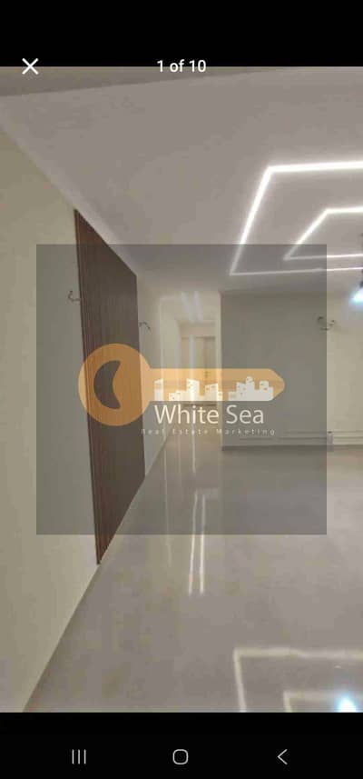 Office for Rent in Saba Pasha, Alexandria - 1000986548. jpg