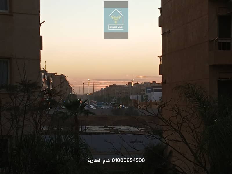 17 ٢٠٢٦٠٢١٥_١٧٤٨٥١. jpg