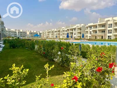 شاليه 1 غرفة نوم للبيع في العين السخنة، السويس - 339509133_739573510992745_873408002726713913_n. jpg