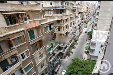 شقة 2 غرفة نوم للبيع في كامب شيزار، الإسكندرية - WhatsApp Image 2026-02-18 at 3.22. 39 PM. jpg شقة 2 غرفة نوم للبيع في كامب شيزار، الإسكندرية - WhatsApp Image 2026-02-18 at 3.22. 39 PM. jpg
