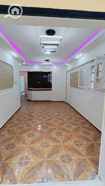 شقة 2 غرفة نوم للبيع في النخيل، الإسكندرية - 1000498190. jpg