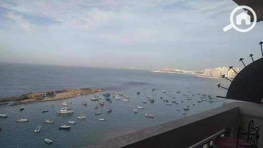 2 Bedroom Apartment for Rent in Miami, Alexandria - 1626f72e-6452-4f57-ad76-b13a566870e8. jpg