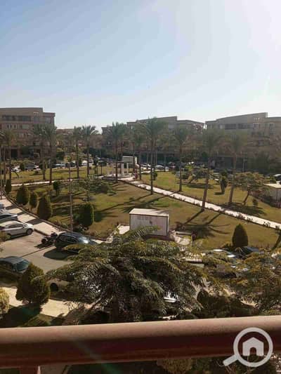 شقة 5 غرف نوم للايجار في القاهرة الجديدة، القاهرة - 1000962863. jpg