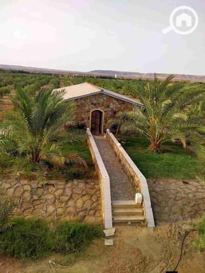 Residential Land for Sale in 6th of October, Giza - 1000066834. jpg