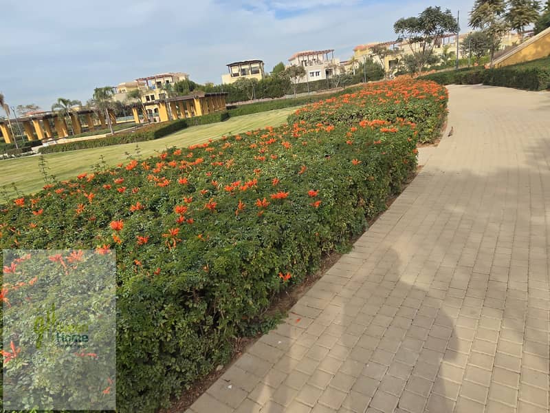 7 20260104_134417. jpg