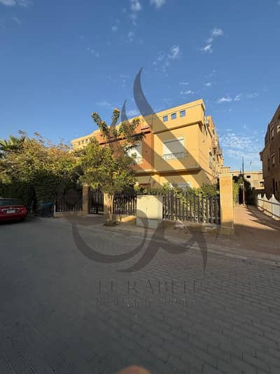4 Bedroom Townhouse for Sale in New Cairo, Cairo - WhatsApp Image 2026-02-24 at 12.25. 56 PM (2). jpeg 4 Bedroom Townhouse for Sale in New Cairo, Cairo - WhatsApp Image 2026-02-24 at 12.25. 56 PM (2). jpeg