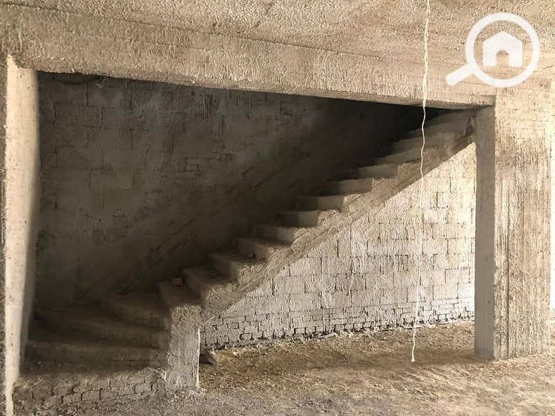 3 WhatsApp Image 2025-02-03 at 4.55. 10 PM (1). jpeg