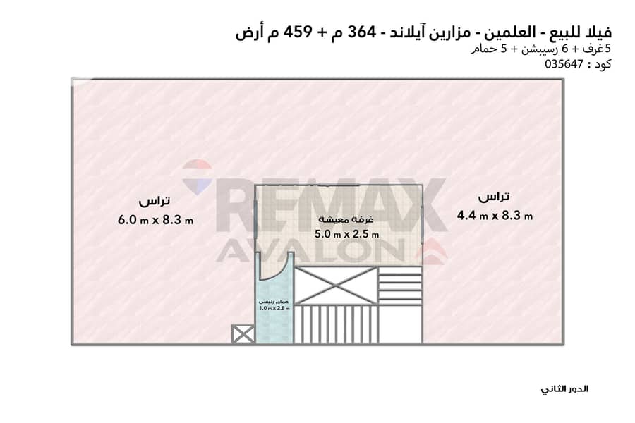 7 7. jpg