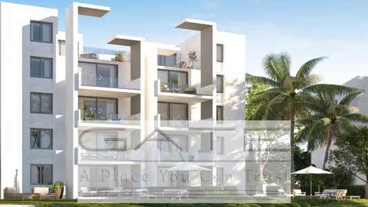 شاليه 3 غرف نوم للبيع في الساحل الشمالي، مطروح - apartments for sale in d bay. jpg شاليه 3 غرف نوم للبيع في الساحل الشمالي، مطروح - apartments for sale in d bay. jpg