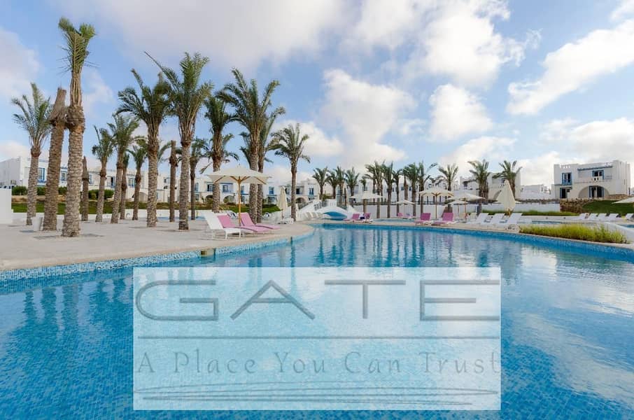 4 IMG-20250809-WA0043. jpg