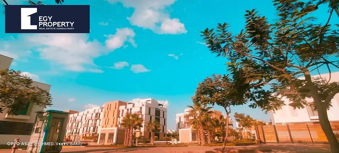 7 444. jpg