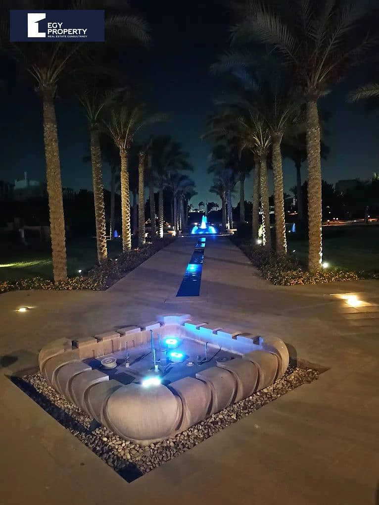 8 555. jpg