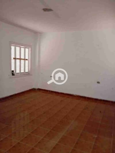 2 Bedroom Flat for Rent in Cleopatra, Alexandria - IMG-20260225-WA0005. jpg 2 Bedroom Flat for Rent in Cleopatra, Alexandria - IMG-20260225-WA0005. jpg