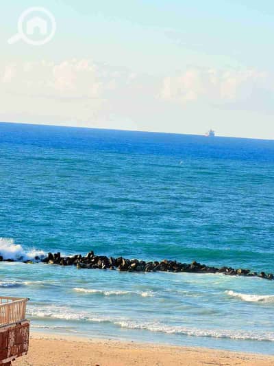 شقة 2 غرفة نوم للبيع في النخيل، الإسكندرية - 1000500428. jpg