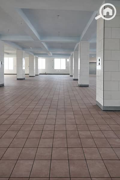 Factory for Rent in New Cairo, Cairo - ChatGPT Image Feb 26, 2026, 01_53_13 PM. png
