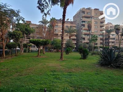 استوديو للايجار في مصر الجديدة، القاهرة - WhatsApp Image 2026-02-26 at 4.41. 27 PM (2). jpeg استوديو للايجار في مصر الجديدة، القاهرة - WhatsApp Image 2026-02-26 at 4.41. 27 PM (2). jpeg