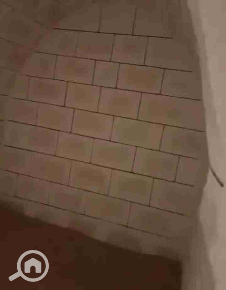 12 1000141367. jpg