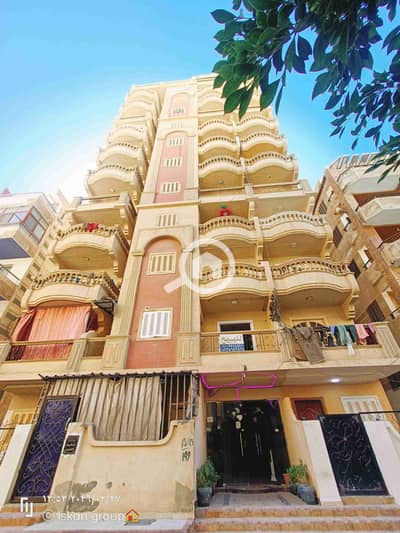 شقة 2 غرفة نوم للبيع في النخيل، الإسكندرية - 1000503229. jpg