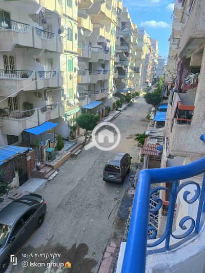 شقة 2 غرفة نوم للبيع في النخيل، الإسكندرية - 1000503275. jpg