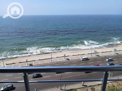 فلیٹ 3 غرف نوم للبيع في كامب شيزار، الإسكندرية - d8b57b66-6bb2-4a2f-9e7f-b3fadcbe5f19. jpg
