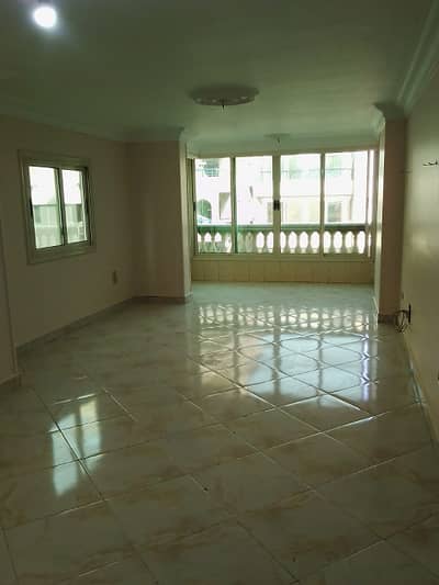 شقة 3 غرف نوم للايجار في مدينة نصر، القاهرة - WhatsApp Image 2026-02-09 at 3.52. 28 PM. jpg