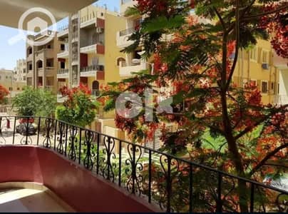 فلیٹ 4 غرف نوم للبيع في 6 أكتوبر، الجيزة - c8aa091e-21bb-42fb-941e-2d6a7909426e. jpeg