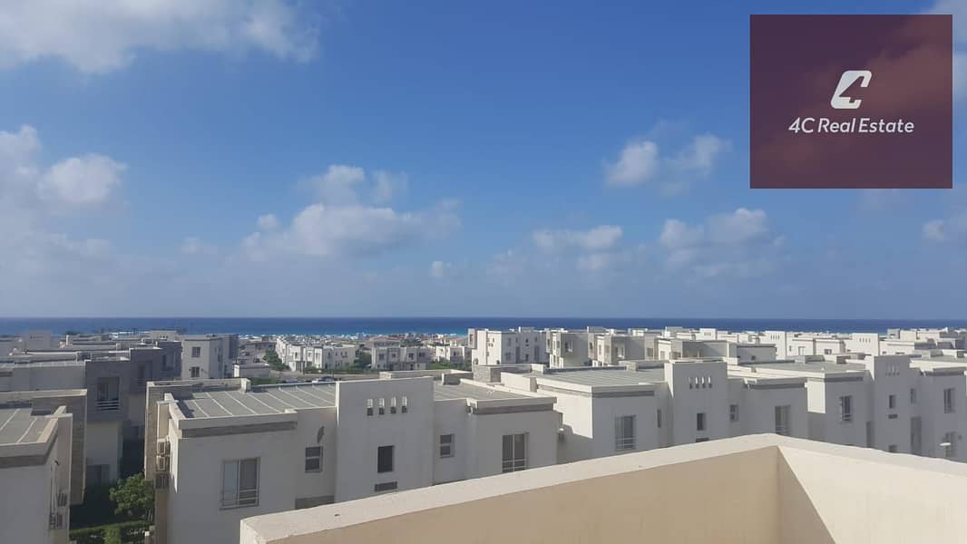 5 WhatsApp Image 2026-02-01 at 4.58. 32 PM. jpeg