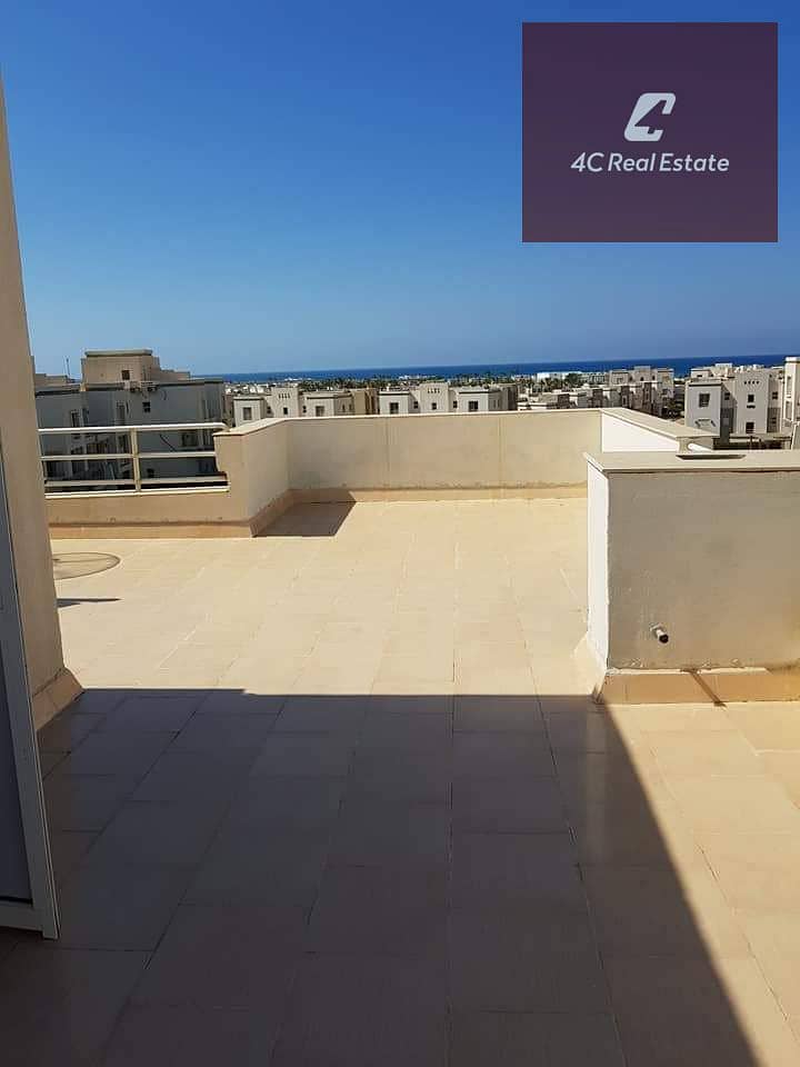 10 WhatsApp Image 2026-02-01 at 4.58. 34 PM (1). jpeg