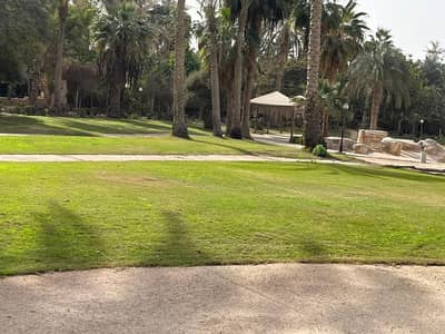 3 Bedroom Apartment for Sale in Ain Sukhna, Suez - WhatsApp Image 2026-03-04 at 9.24. 20 AM (1). jpeg