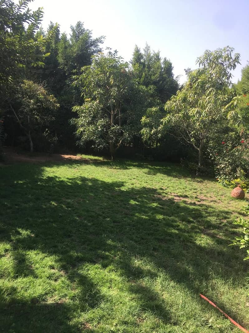 House, 222 m²
