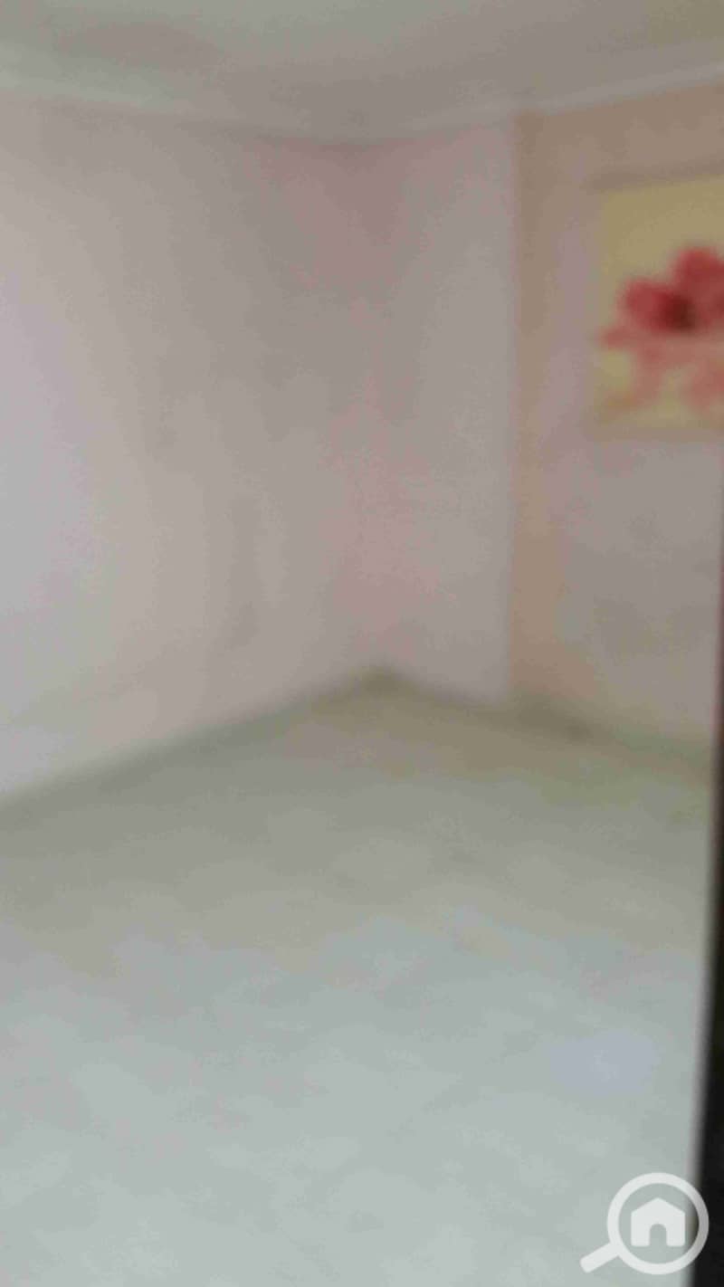 3 ٢٠٢٦٠٣٠٤_٠٠١٧٣٣. jpg