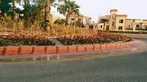 8 IMG-20260304-WA0899. jpg