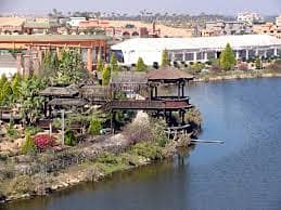 15 IMG-20260304-WA0888. jpg