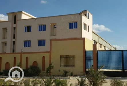 Factory for Sale in Kabbary, Alexandria - 1000509411. png Factory for Sale in Kabbary, Alexandria - 1000509411. png