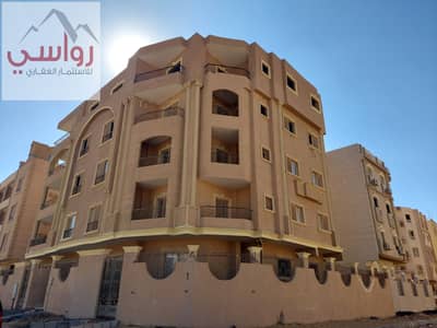 فلیٹ 4 غرف نوم للبيع في القاهرة الجديدة، القاهرة - 20260117_115845. jpg