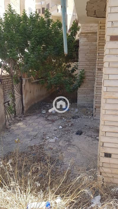 2 Bedroom Chalet for Sale in Agami, Alexandria - WhatsApp Image 2025-06-24 at 4.07. 07 PM (1). jpeg