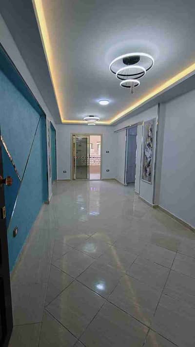 شقة 2 غرفة نوم للبيع في النخيل، الإسكندرية - 1000508496. jpg