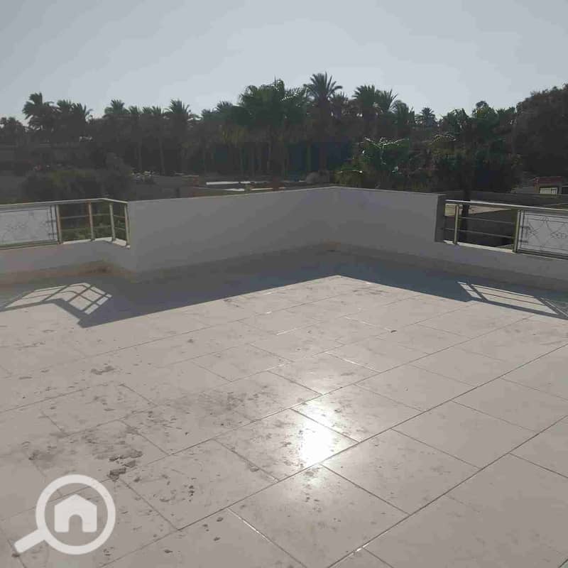 6 186283. jpg