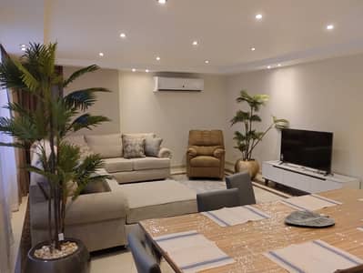 3 Bedroom Apartment for Rent in Dokki, Giza - IMG-20250526-WA0017. jpg 3 Bedroom Apartment for Rent in Dokki, Giza - IMG-20250526-WA0017. jpg