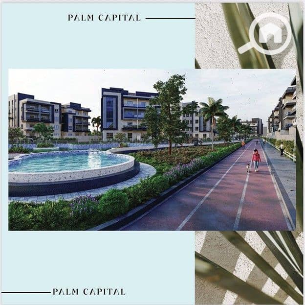 4 Picture3. jpg