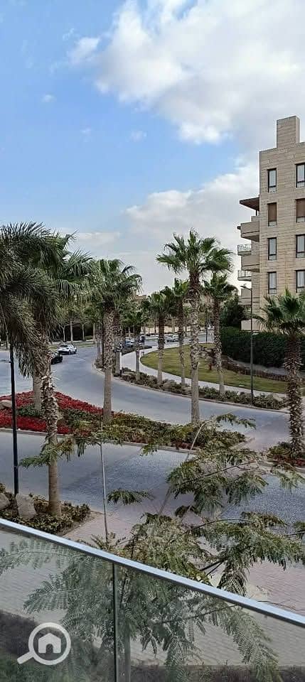 12 496259007_683601667741255_437800629129280875_n. jpg