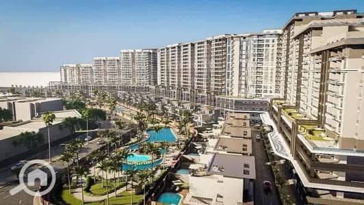 3 Bedroom Apartment for Sale in Moharam Bik, Alexandria - WhatsApp Image 2025-12-21 at 10.40. 47 AM. jpeg